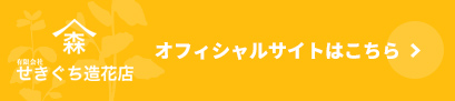オフィシャルサイトはこちら